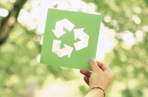 Giornata di educazione ambientale - Sant'Anna Arresi 4 giugno 2016